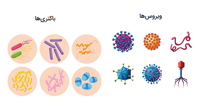 باکتری ها در مقابل ویروس