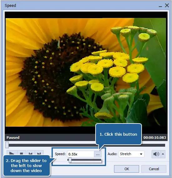 پنل تنظیم سرعت فیلم در AVS Video Editor