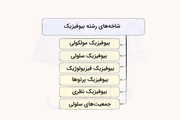 نمودار شاخه های بیوفیزیک