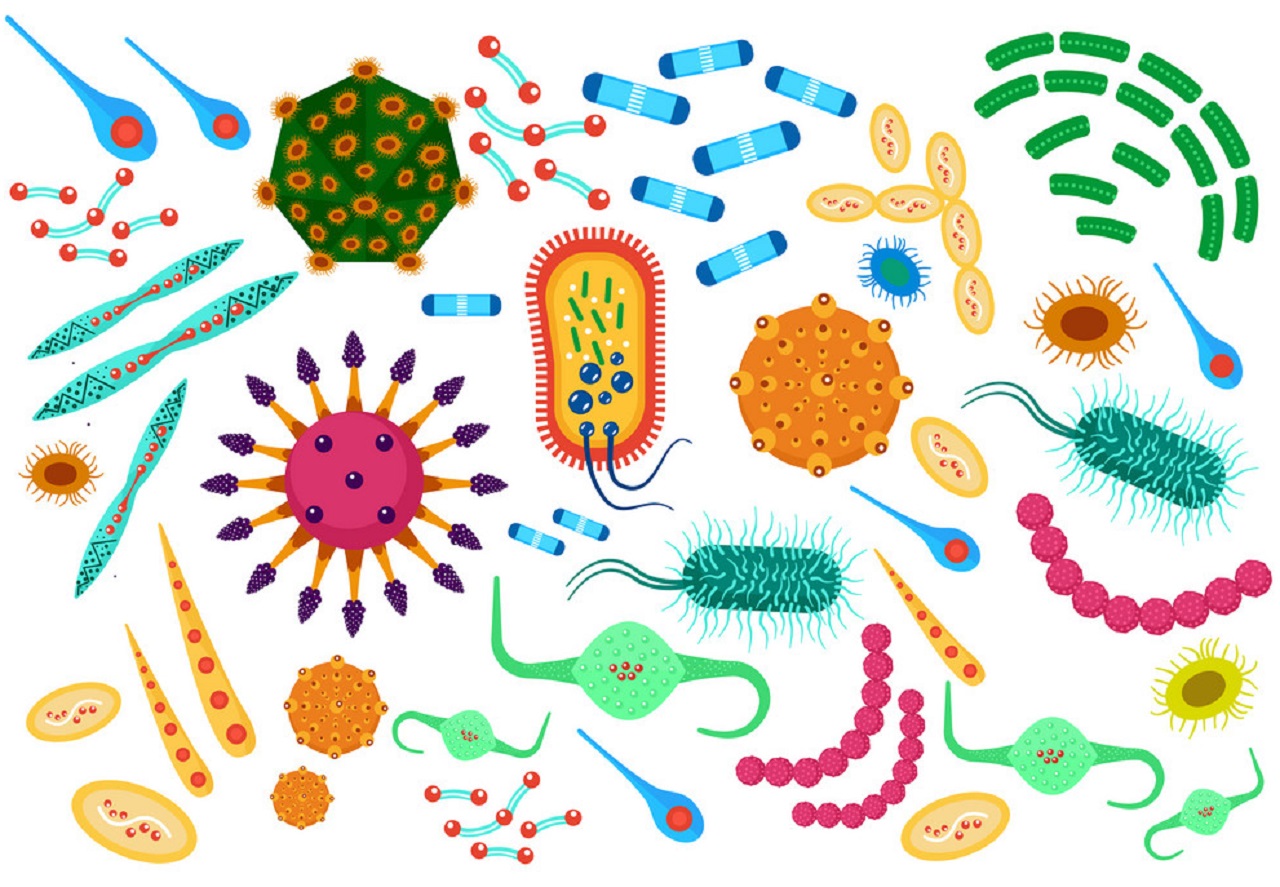 Вирусы микробы вектор