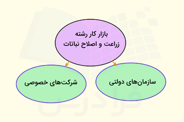 رشته زراعت و اصلاح نباتات