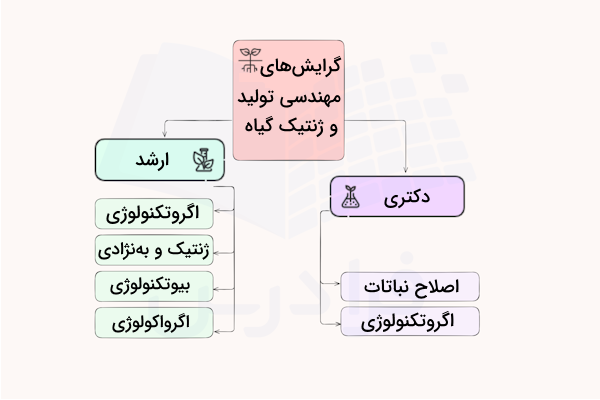 نمودار گرایش های رشته مهندسی تولید و ژنتیک گیاه