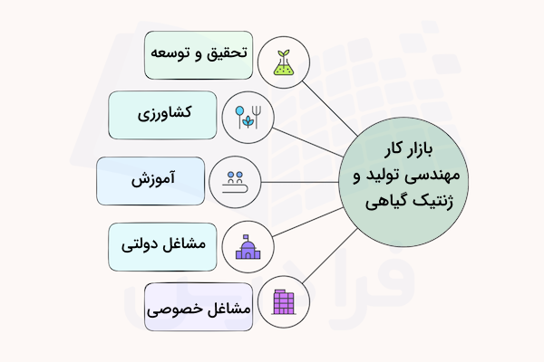 نمودار بازار کار رشته مهندسی تولید و ژنتیک گیاهی