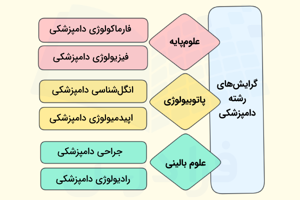 گرایش های رشته دامپزشکی به همراه دو مثال از دروس تخصصی هر گرایش