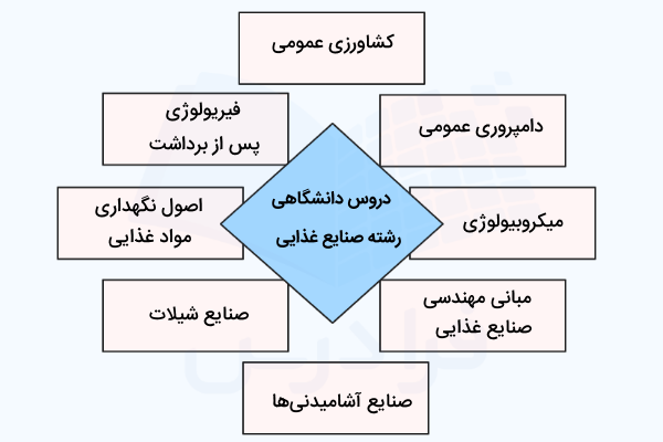 دروس دانشگاهی رشته مهندسی صنایع غذایی