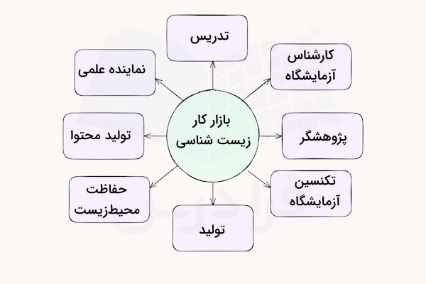 نمودار بازار کار و مسیر شغلی رشته زیست شناسی