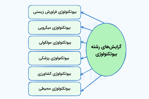 گرایش های رشته بیوتکنولوژی