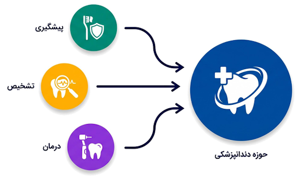 سه حوزه اصلی دندان‌پزشکی شامل پیشگیری، تشخیص و درمان