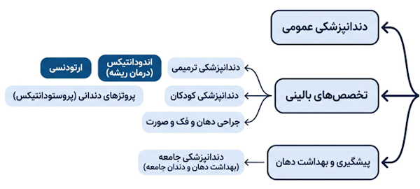 معرفی تخصص‌های دندان‌پزشکی شامل ترمیمی، درمان ریشه، ارتودنسی، کودکان، پروتز و جراحی