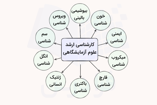نمودار گرایش های رشته علوم آزمایشگاهی