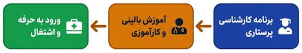 مسیر آموزش دانشگاهی و کارآموزی تا ورود حرفه‌ای به رشته پرستاری