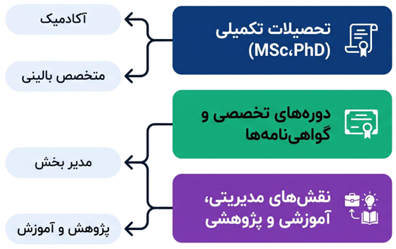 مسیرهای ادامه تحصیل
