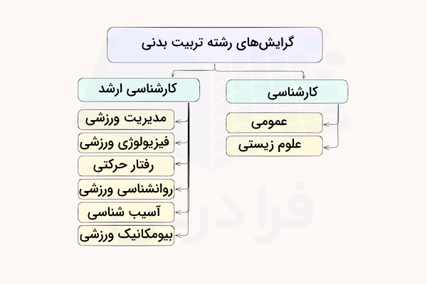 نمودار گرایش های رشته تربیت بدنی
