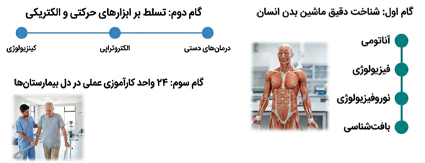 طرح گرافیکی آناتومی بدن انسان و حوزه تخصصی فیزیوتراپی