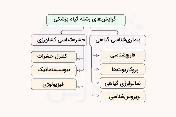 نمودار گرایش های رشته گیاه پزشکی
