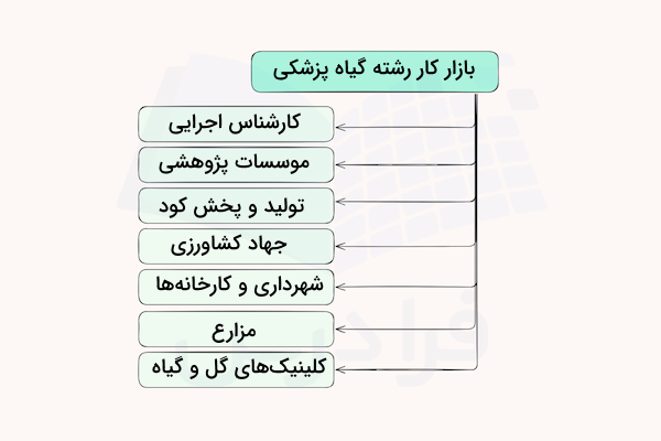 نمودار بازارکار رشته گیاه پزشکی