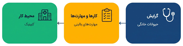 چارچوب انتخاب مسیر شغلی دامپزشکی