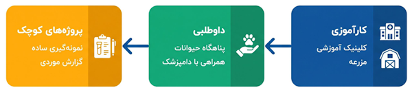 کسب تجربه عملی در حوزه دامپزشکی