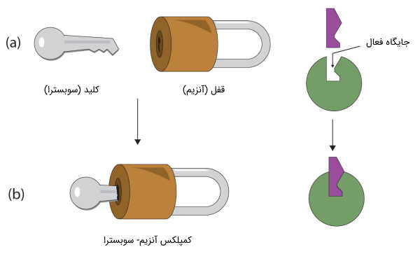 تئوری قفل و کلید