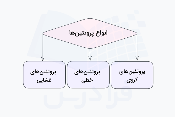 تقسیم بندی پروتئین ها بر اساس ساختار آن ها