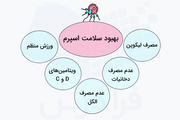 روش های افزایش کیفیت اسپرم مردان - بهبود سلامت اسپرم 