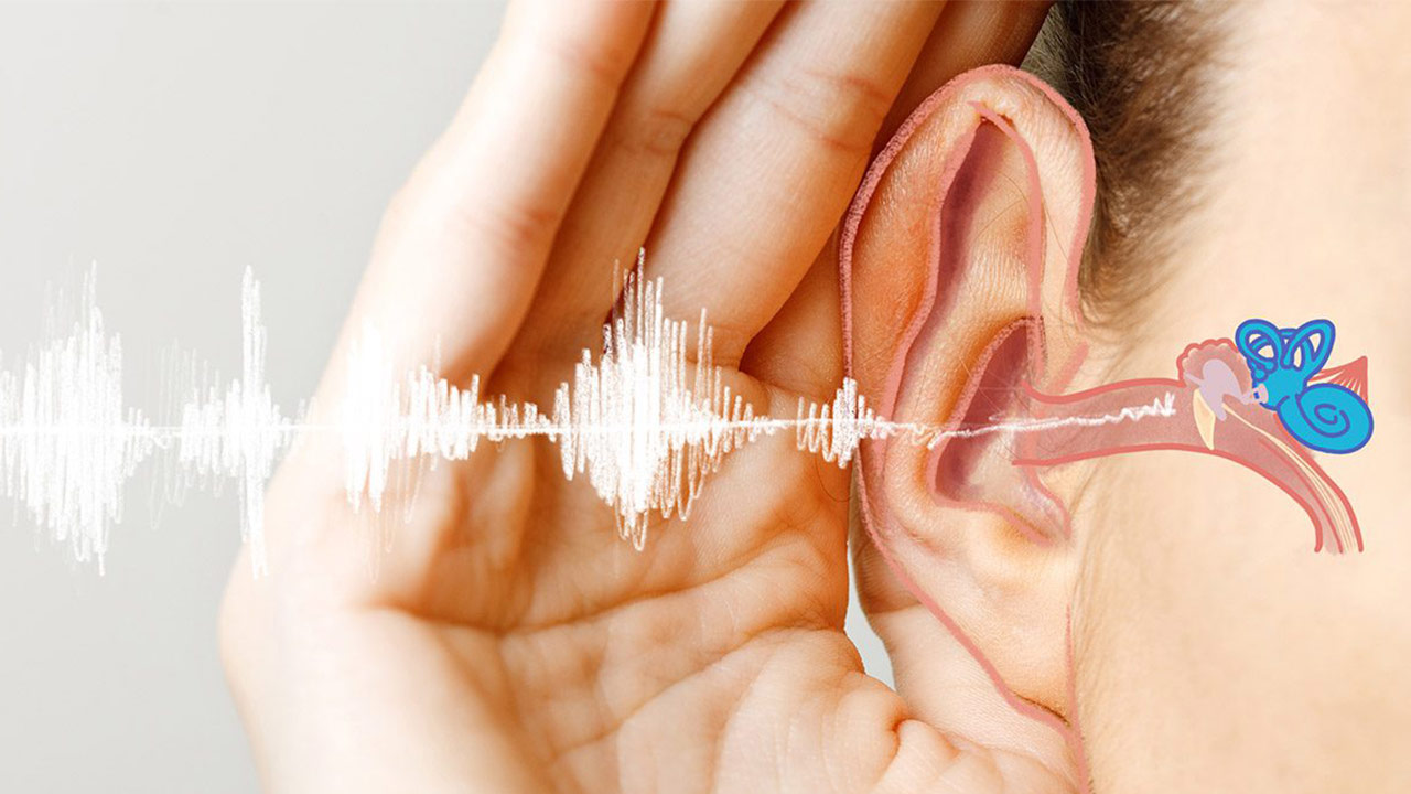 شنوایی سنجی چیست؟ | هر آنچه باید بدانید به زبان ساده
