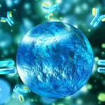 لنفوسیت چیست؟ | هر آنچه باید بدانید