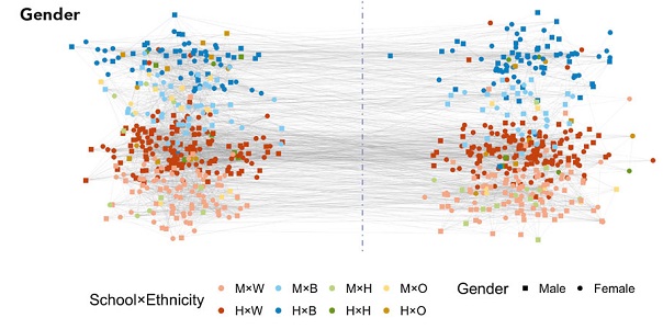 Gender communities network analysis