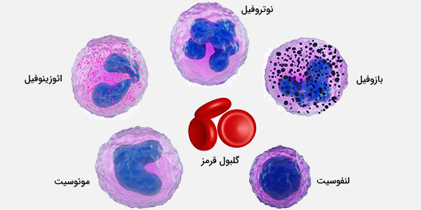 سلول‌های خونی