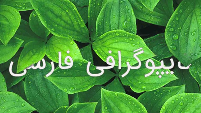 آموزش تایپوگرافی فارسی در فتوشاپ | به زبان ساده (+ فیلم آموزش گام به گام)