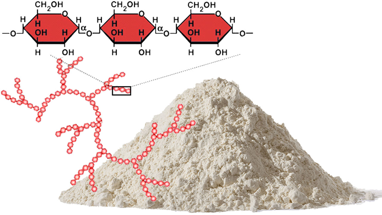 نشاسته چیست ؟ ساختار و خواص — هر آنچه باید بدانید – فرادرس مجله‌