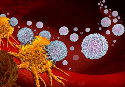 خواص ضد سرطانی مورینگا