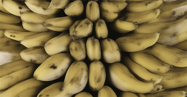تشکیل کپک در مواد غذایی و میوه ها مانند موز 