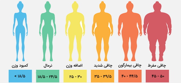 BMI بدن