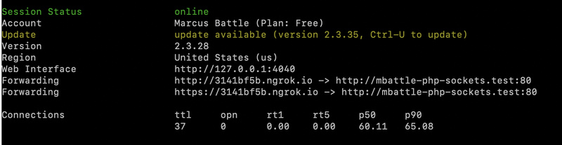 خروجی اجرای ngrok برای دریافت آدرس فورواردینگ HTTPS