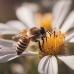 گرده افشانی چیست و چطور توسط حشرات انجام می شود؟ – به زبان ساده