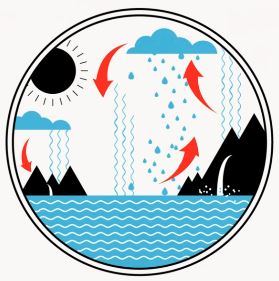 Su döngüsü infografik