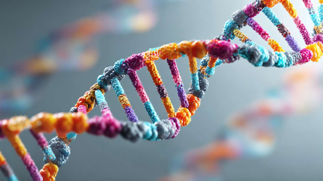 ساختار DNA – به زبان ساده