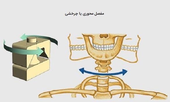 مفصل محوری یا چرخشی