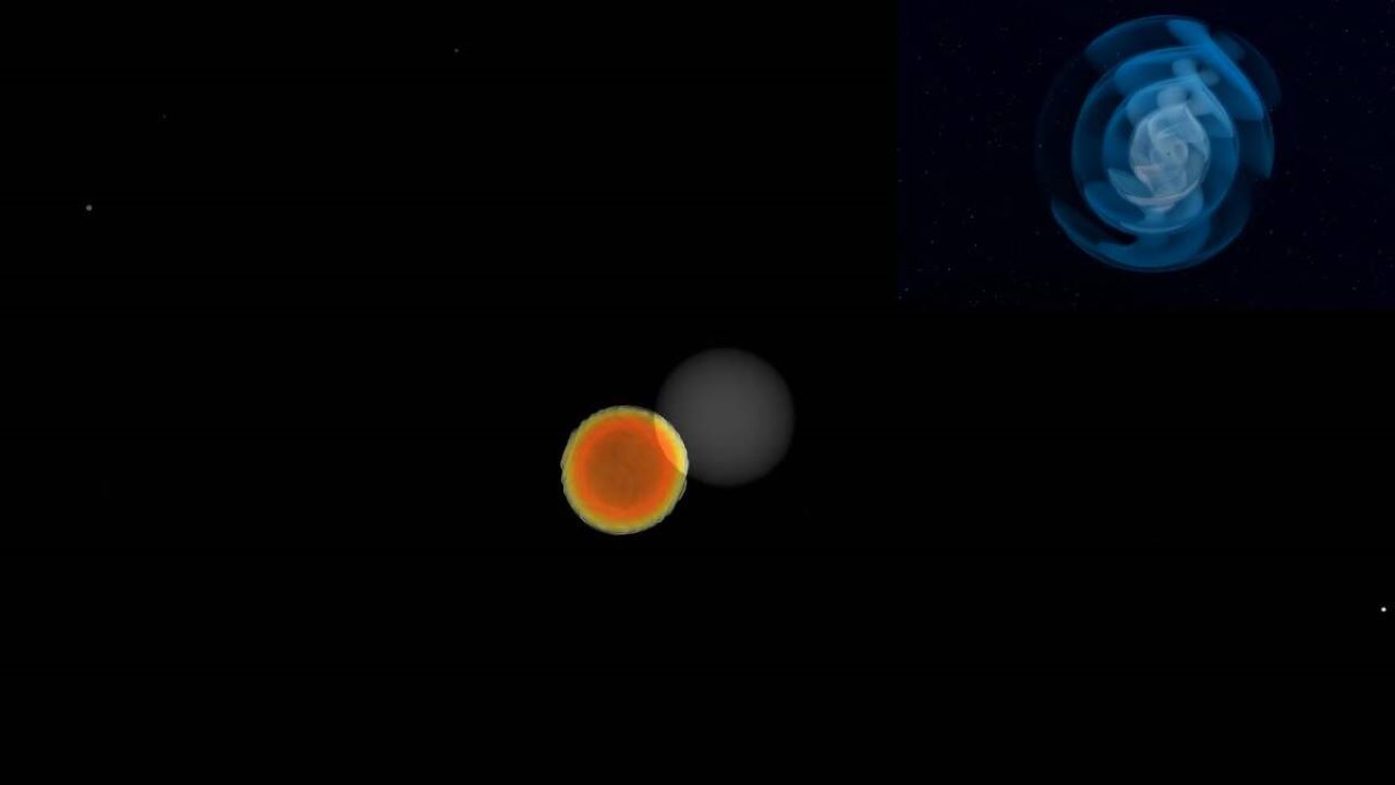شبیه سازی بلعیده شدن یک ستاره نوترونی توسط سیاه چاله — تصویر نجومی