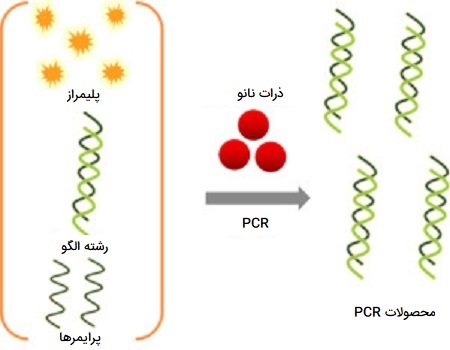 نانو PCR