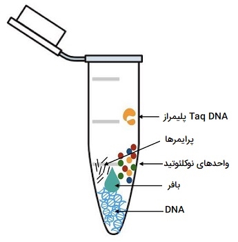 ترکیبات موجود در PCR