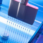 ژل الکتروفورز چیست؟ – تکنیک، انواع و کاربردها – به زبان ساده