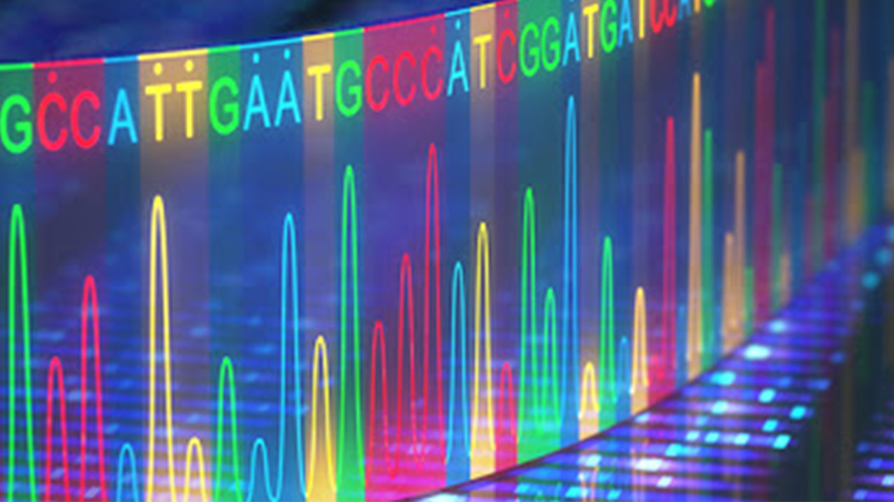 ژنتیک مولکولی چیست؟ + معرفی منابع یادگیری — به زبان ساده