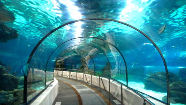 نمونه‌ای از یک تونل زیرآبی ساخته شده برای مقاصد تفریحی و گردشگری