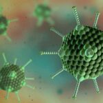 آدنو ویروس چیست؟ – از طبقه‌بندی و علائم تا تشخیص و درمان – به زبان ساده