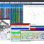 نرم افزارهای بیوانفورماتیک کاربردی در ژنتیک | معرفی مهارت های نرم افزاری ضروری
