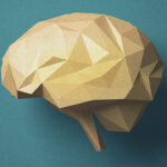 اهمیت مهارت های نرم برای دانشجویان + معرفی فیلم های آموزش مهارت های کلیدی