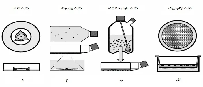 انواع کشت سلولی