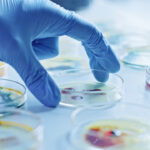 آزمایشگاه میکروبیولوژی عمومی – از صفر تا صد + بهترین منابع یادگیری